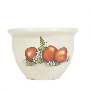 White Porcelain Bowl with Apple Drawing